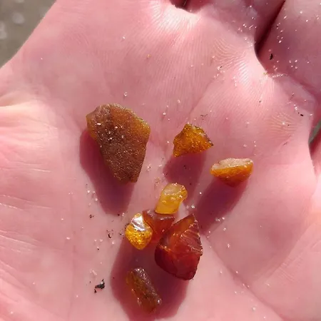 Przyladek Polnocy Apartment Jastrzebia Gora